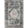 Davi Faded SplashGuard Machine Washable Area Rug