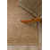 Holladay Jute Hand-Woven Tan Brown Area Rug