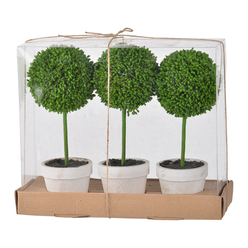 Set of 3 Mini Topiaries in Decorative Pots
