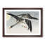 Geese in Flight by Ohara Koson - Picture Frame Painting Print-55608466-55608469