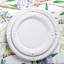 Berry & Thread French Panel Dinner Plate-28640536