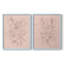 «Rosetone Blossoms I», reproduction encadrée de qualité supérieure - prête à être accrochée - aucun clou requis - aucun clou requis-403674405-403674403