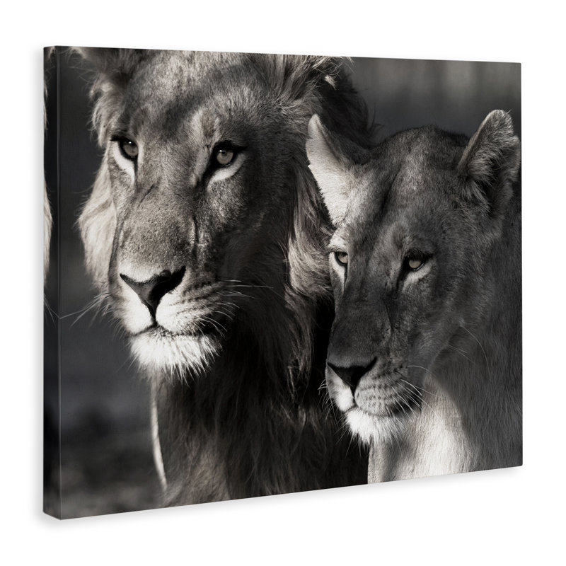 «Strong Lion & Lioness», art mural sur toile par Danita Delimont, H 16 po x l 20 po