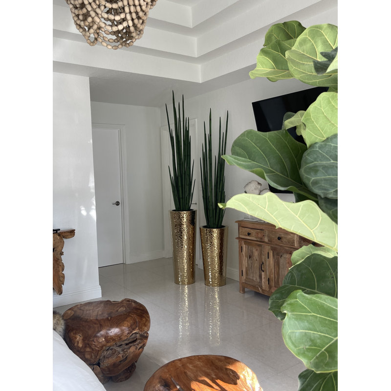 88 po Faux Snake Plant, Marteau doré