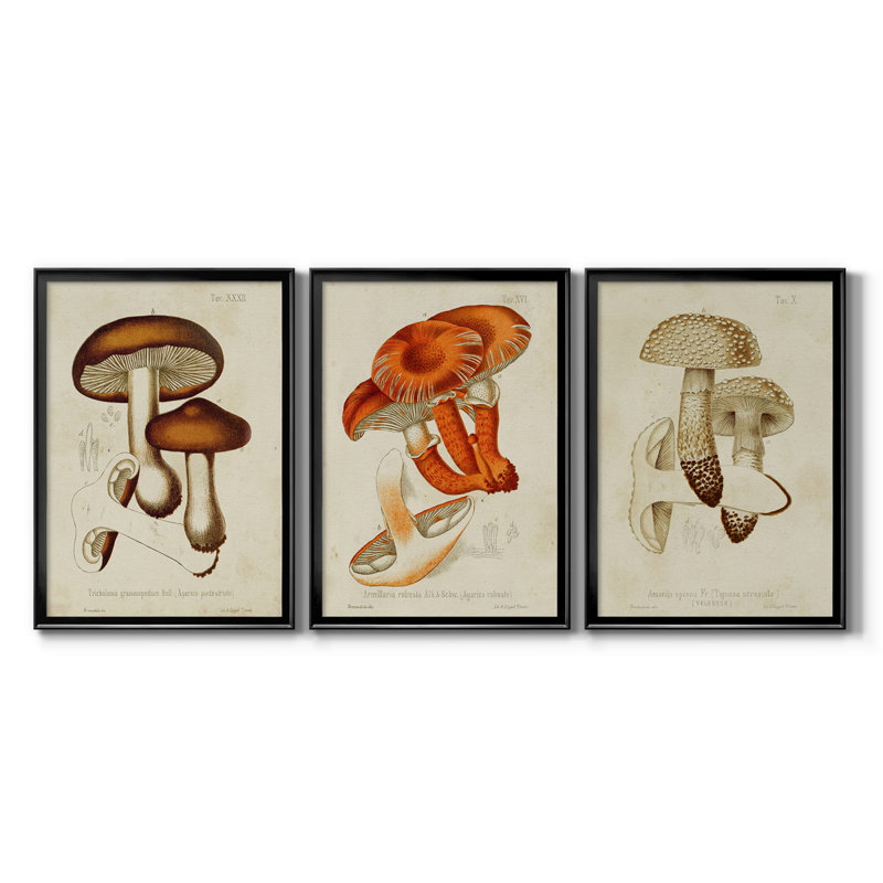 Champignon Variétés VI, reproduction encadrée de qualité supérieure, prête à être accrochée, H 36,5 po x l 79,5 po x P 1 po