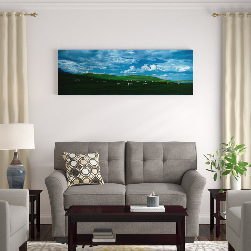 «Charolais Bétail broutant dans un champ, montagnes Rocheuses, Montana», reproduction de photo sur toile, Cadre noir