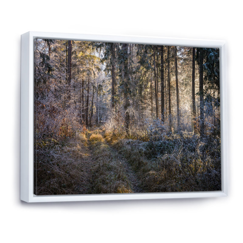 «Forest Trees In Winter», reproduction d'art sur toile, H 8 po x l 12 po x P 1 po, Cadre flottant blanc