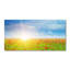 50 cm. W x 100 cm. L Peel and Stick
