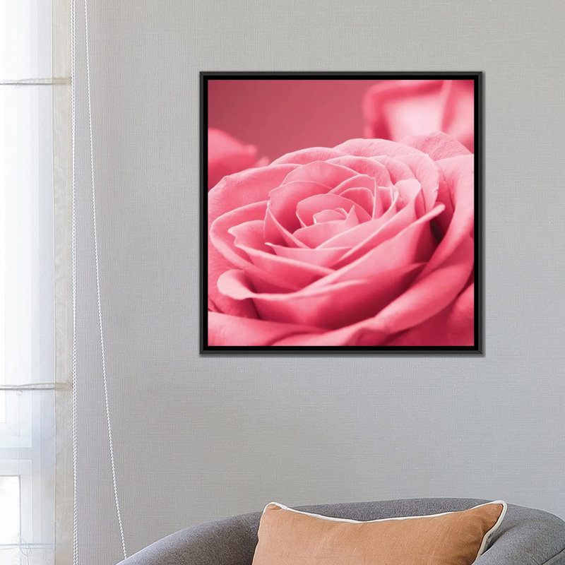 « rose rose i », impression sur toile, H 26 po x l 26 po x P 1,5 po, Toile avec cadre noir, Pas de tapis