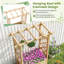 Elevated Planter