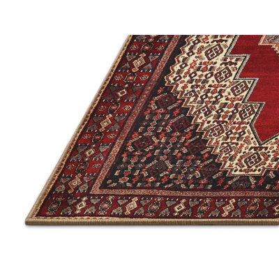 Southwestern Indoor Rug