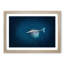 Swimming Dolphin - Picture Frame Painting Print-55617164-55617168