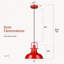 Luminaire suspendu 1 lumière Castillon-132223998