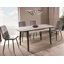 Anntoinette Glass Top Metal Base Dining Table