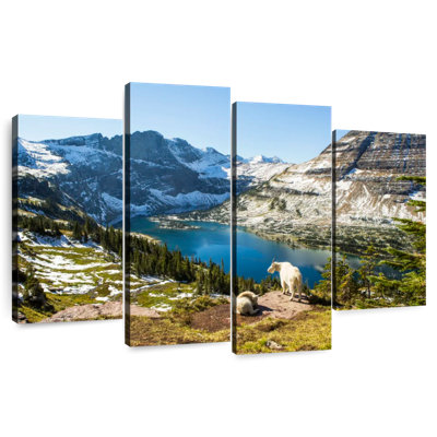 Chèvres de montagne d'Alvord au parc Glacier