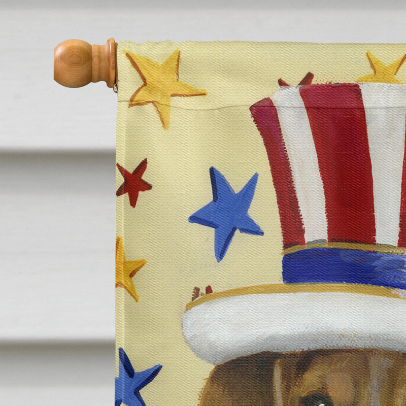 Drapeau de maison Hvidovre Sheltie Halloween en polyester à 2 faces 3 x 2 pi, Beagle États-Unis