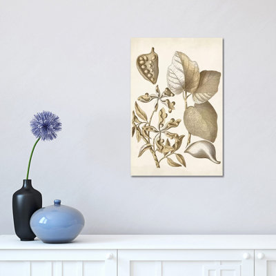 Ochre Botanical III 1 Piece Wrapped Canvas Wall Art