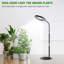 Naomi Grow Light