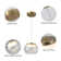 Cleckler 1 - Light LED Single Pendant Light