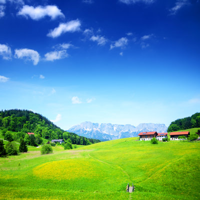 Alpine Landscape 1 Piece Wrapped Canvas Wall Art