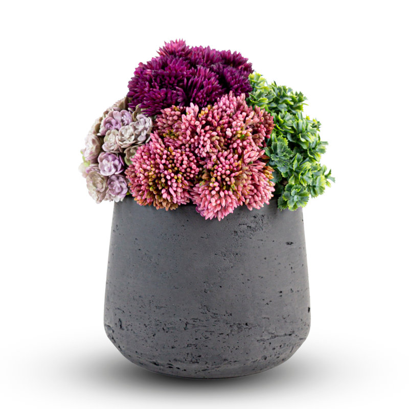 Artful Interiors Mini Sedum Arrangement