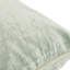 Housse et insert Goodall-591587556-591587343