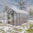 Gain height windproofaluminum greenhouse 8x14 FT Polycarbonate Greenhouse Raised Base and Anchor Aluminum Heavy Duty Walk-in Greenhouses for Outdoor Backyard in All Season-124615614