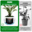 Pot Planter-292598210-292598212