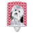 Bichon havanais