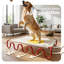 Lit pour chien Wavy Army, moyen, mauve / jaune-1154767234
