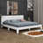 Blanc
