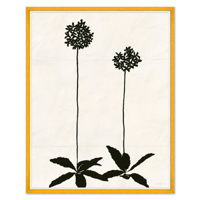 Allium (var. 2) Print by Susan Hable