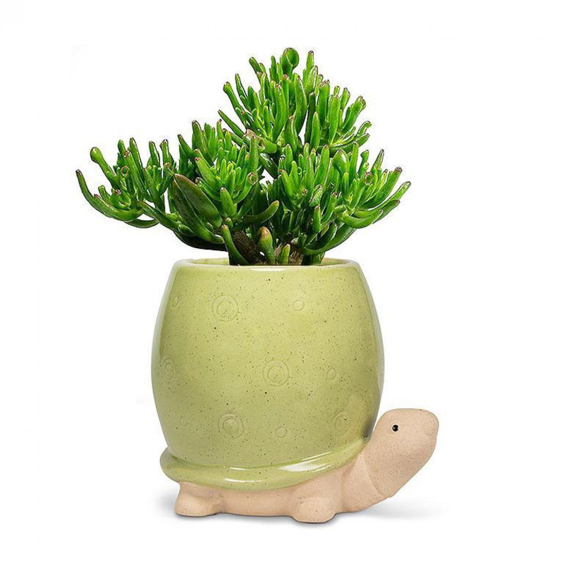 Tall Turtle Planter