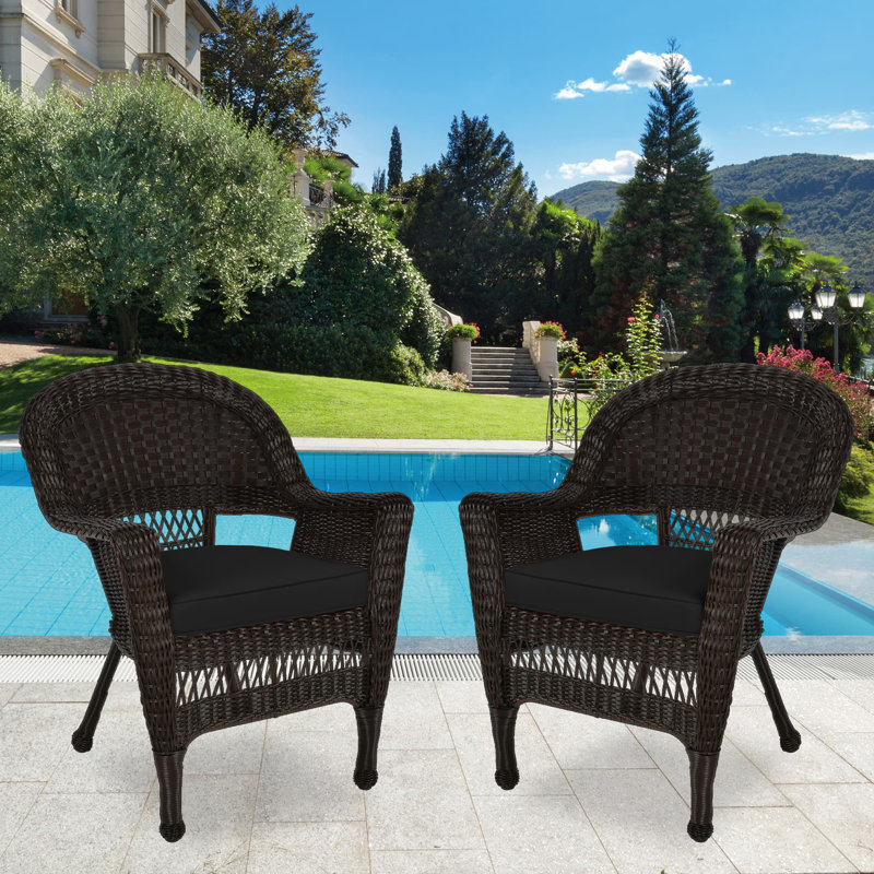 Chaise de patio avec coussins Burrowes, Noir, Espresso