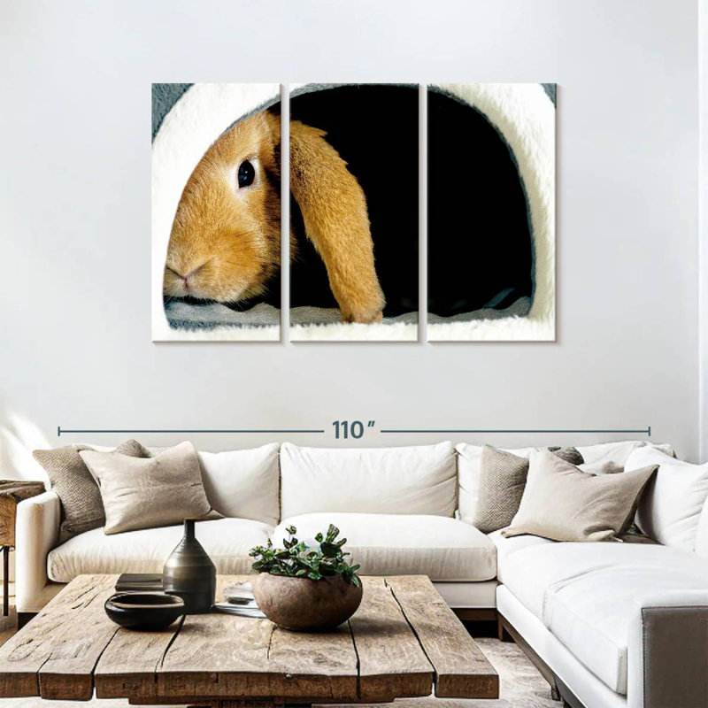 Brampt Rabbit Home, 48" H x 74" W