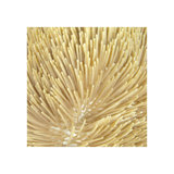 Underwater Beauty V Print by Austin Beiv