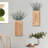 Dioseline Wall Vase - Set of 2-1414462646
