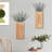 Dioseline Wood Wall Vase-1414462646