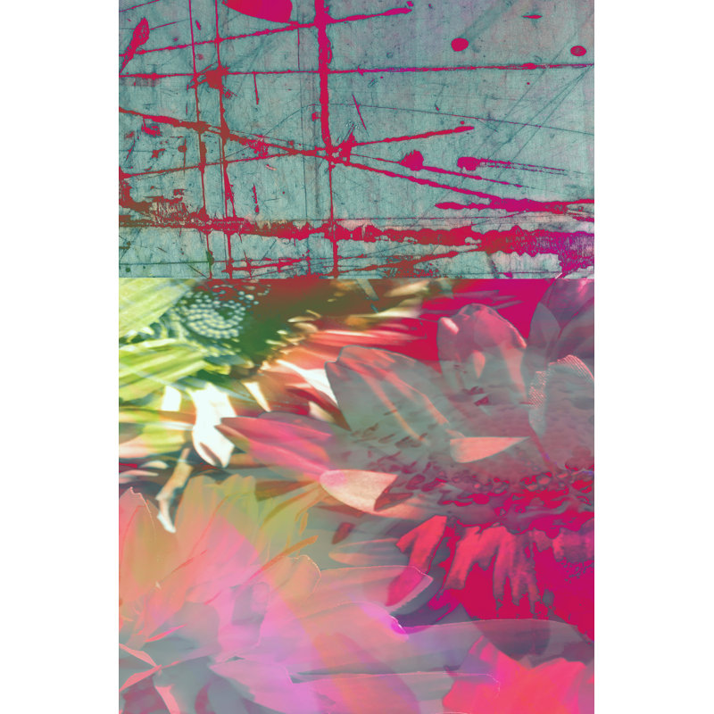 Pink Wonders II by Ricki Mountain - Wrapped Canvas Print, 46cm H x 30cm W