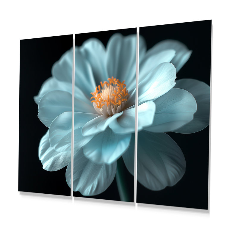 Natures blanches et noires Marigold Photo - ensemble de salon d'art mural souci, H 40 po x l 60 po x P 1 po