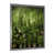 Silver Single Picture Framed