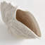 Nautilus Handmade Clay Table Vase