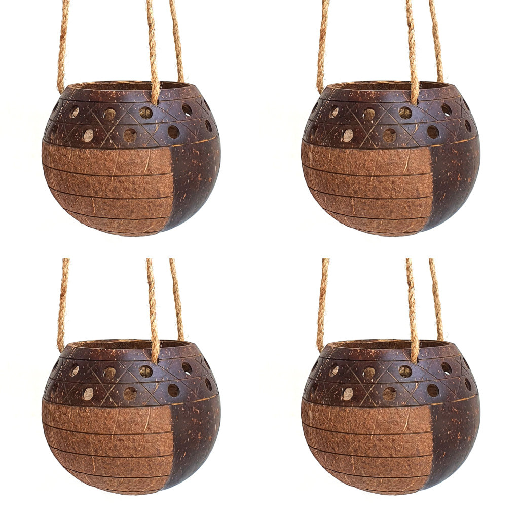 Coconut Shell Hanging Planter Rainforest Bowls Set 