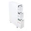 Abhinaya Freestanding Bathroom Cabinet