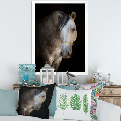 Portrait d'un cheval blanc - Photographie sur toile