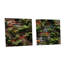 Urban Plants Oasis Bring-966476288