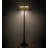 62" High Tiffany Dragonfly Floor Lamp
