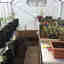 Photos des clients 4 de 4