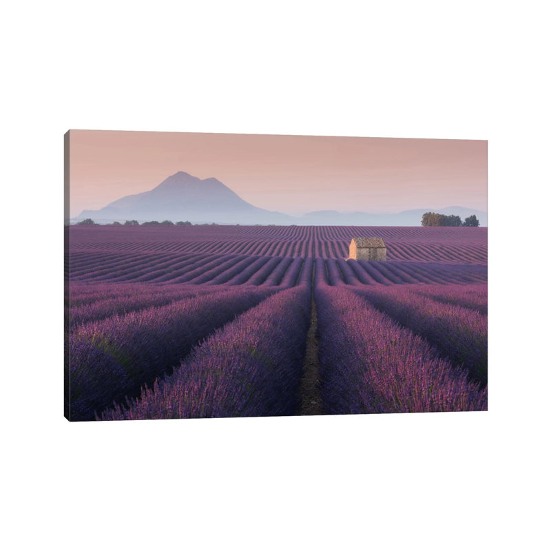 Lavender Fields of Provence III 1 Piece Wall Art on Canvas, 20.32 cm H x 30.48 cm W, Wrapped Canvas