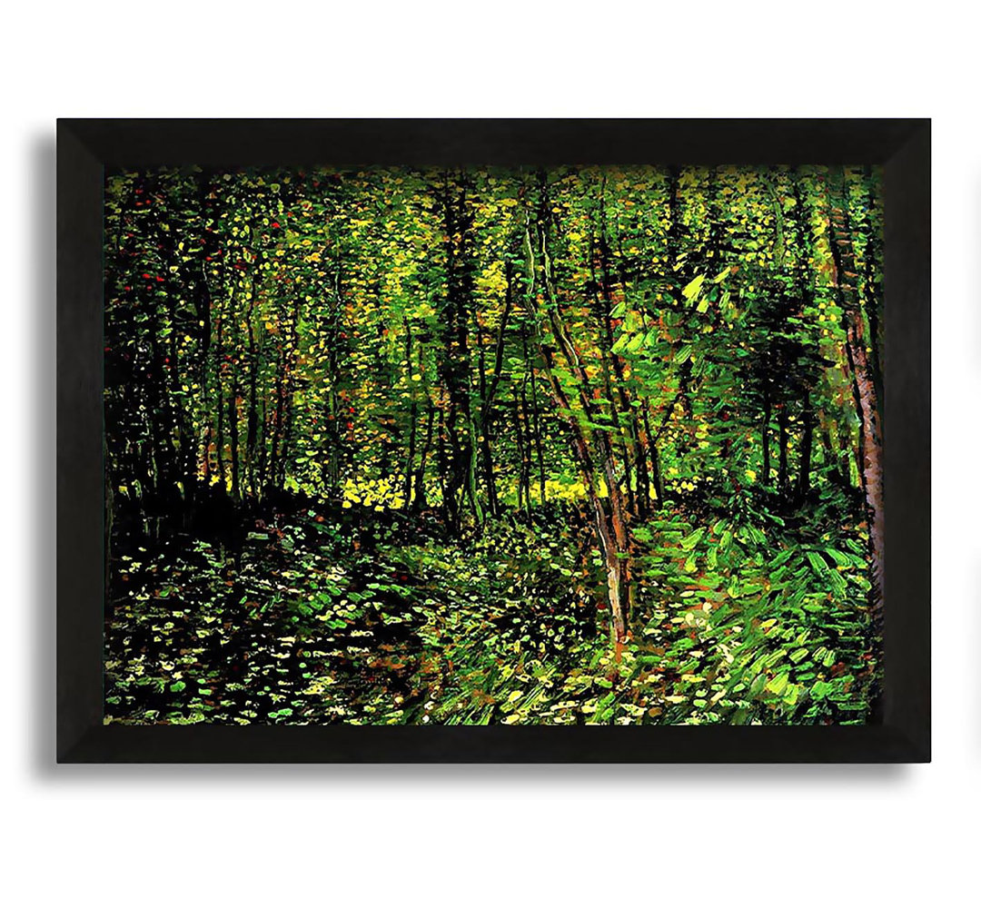 Gerahmtes Leinwandbild Trees And Undergrowth [2] von Vincent Van Gogh